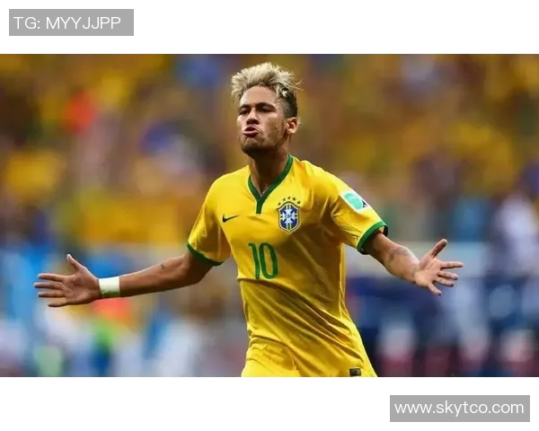 巴西队足球明星介绍及精彩瞬间集锦
